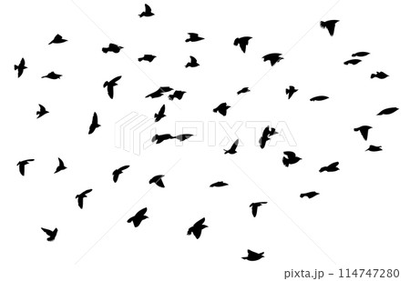 Flying birds silhouette flock. hand drawing. Not AI, Vector illustration 114747280