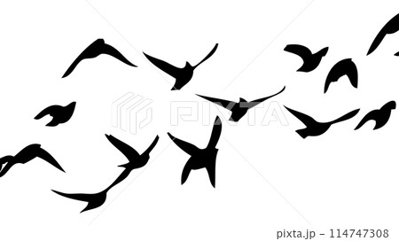 Flying birds silhouette flock. Not AI, Free birds abstraction . Vector illustration Flying birds silhouette flock. Not AI, Free birds abstraction . Vector illustration 114747308