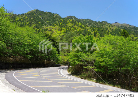 新緑の鈴鹿スカイライン【武平峠展望所近く】 114747402