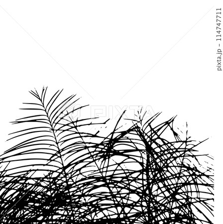 Silhouette palm leaves. hand drawing. Not AI, Vector illustration 114747711