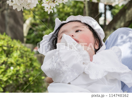 【お宮参りの赤ちゃんと桜】 114748162