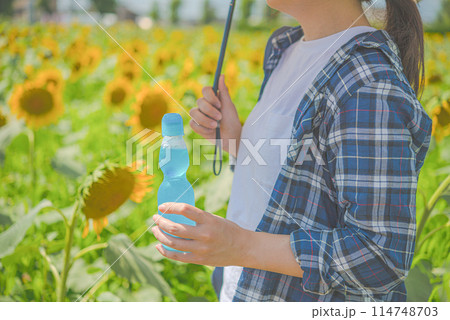 ひまわり畑と女性ポートレート:夏休み編 ひまわり畑と女性ポートレート:夏休み編 114748703
