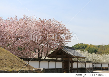 信長の子孫が造った池泉回遊式庭園楽山園 114748820