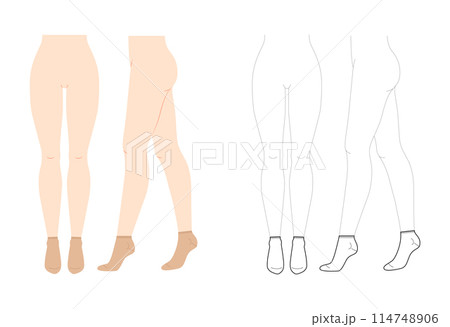 Sneaker Socks Set on women legs - natural beige and line style Hosiery Fashion accessory clothing technical illustration 114748906