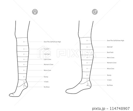 Diagrams of socks length with text names. Hosiery Fashion accessory clothing technical illustration stocking Vector side 114748907