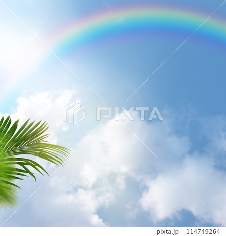 夏空のイメージ素材 114749264