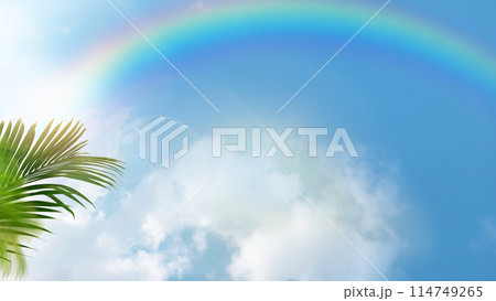 夏空のイメージ素材 夏空のイメージ素材 114749265