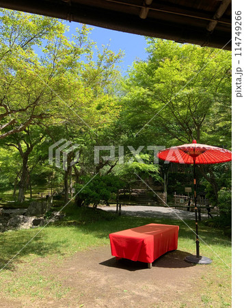 初夏のひと時　京都　高台寺 114749266