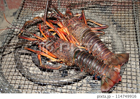 伊勢海老の炭火焼き 伊勢海老の炭火焼き 114749916
