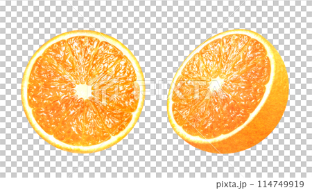 Hand-drawn illustration of halved oranges and sliced oranges Fresh fruit material Hand-drawn illustration of halved oranges and sliced oranges Fresh fruit material 114749919