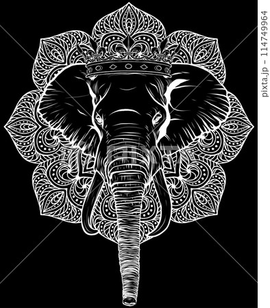 Elephant head in white line on black background Elephant head in white line on black background 114749964