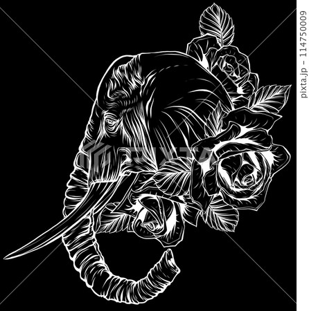 Elephant head in white line on black background Elephant head in white line on black background 114750009