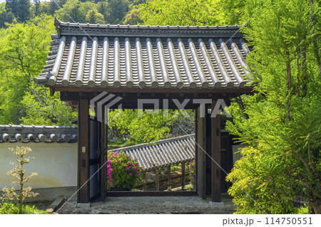 新緑に包まれた長谷寺 月輪院 山門 新緑に包まれた長谷寺 月輪院 山門 114750551