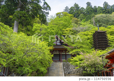 緑の季節 談山神社 権殿・十三重塔・神廟拝所 緑の季節 談山神社 権殿・十三重塔・神廟拝所 114750556