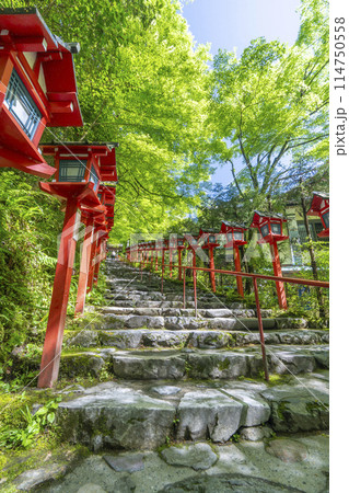 新緑の貴船神社 朱色の灯篭と石段 新緑の貴船神社 朱色の灯篭と石段 114750558