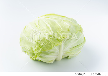 キャベツ キャベツ 114750790