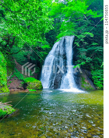 峨瓏の滝（峨瓏大滝） 114750855