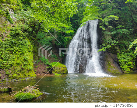 峨瓏の滝（峨瓏大滝） 114750856