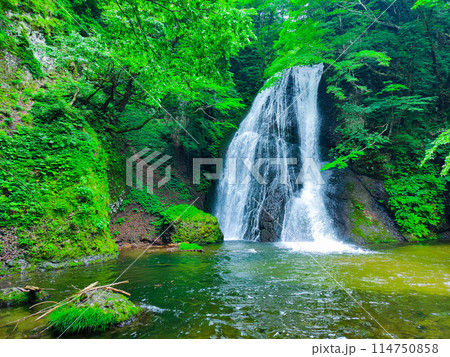 峨瓏の滝(峨瓏大滝) 峨瓏の滝(峨瓏大滝) 114750858