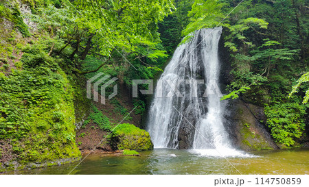峨瓏の滝（峨瓏大滝） 114750859