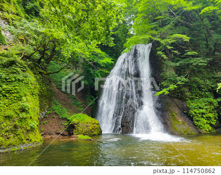 峨瓏の滝(峨瓏大滝) 峨瓏の滝(峨瓏大滝) 114750862