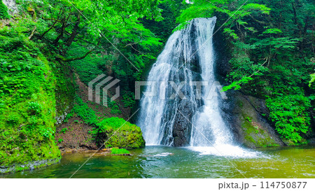 峨瓏の滝（峨瓏大滝） 114750877