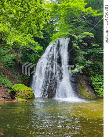 峨瓏の滝（峨瓏大滝） 114750881