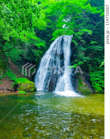 峨瓏の滝（峨瓏大滝） 114750887