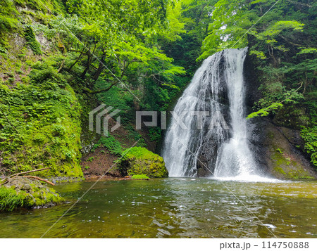 峨瓏の滝（峨瓏大滝） 114750888