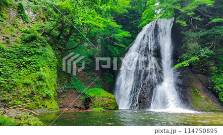峨瓏の滝(峨瓏大滝) 峨瓏の滝(峨瓏大滝) 114750895