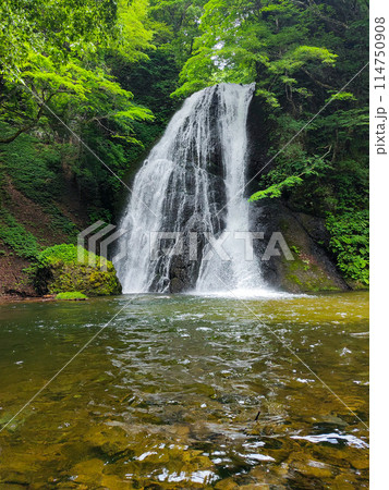 峨瓏の滝(峨瓏大滝) 峨瓏の滝(峨瓏大滝) 114750908