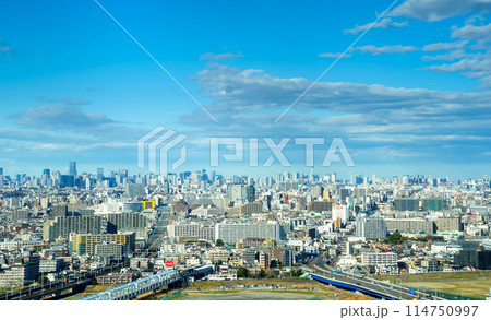 方面から東京を望む 2024 方面から東京を望む 2024 114750997