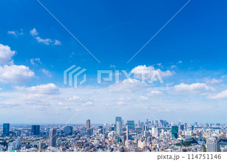 東京都市風景　渋谷・新宿方面 114751146