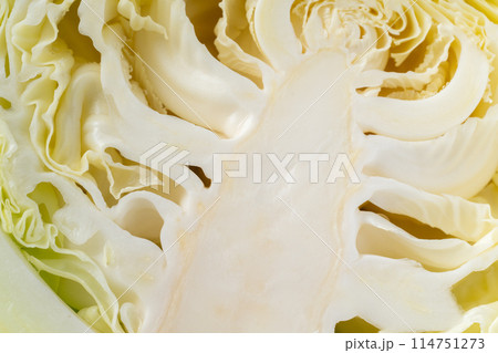 キャベツの芯の断面のクローズアップ背景 114751273