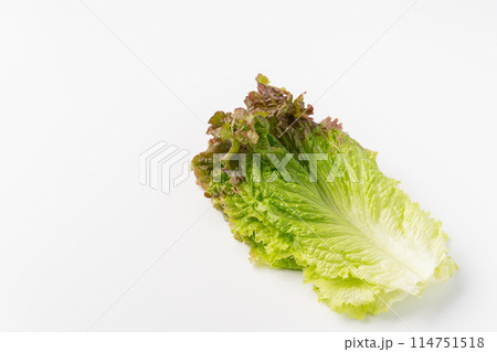 サニーレタスの葉 サニーレタスの葉 114751518
