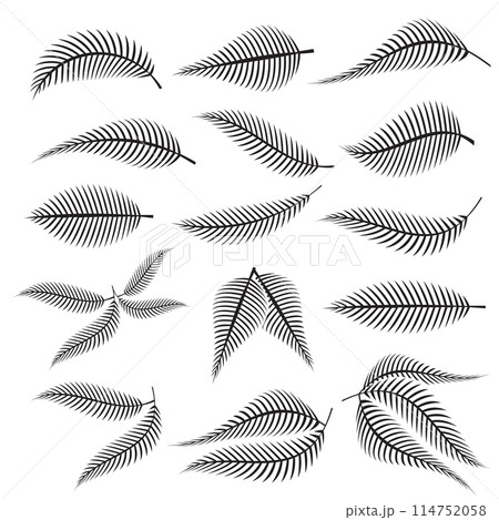 The fern leaf vector image for spa or herb decor concept The fern leaf vector image for spa or herb decor concept 114752058