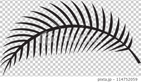 The fern leaf vector image for spa or herb decor concept 114752059