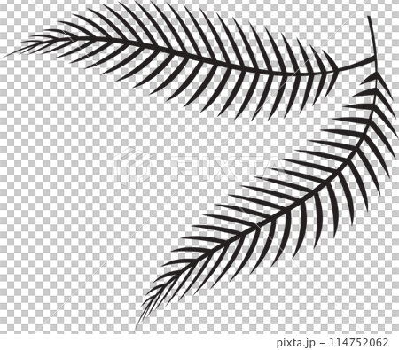 The fern leaf vector image for spa or herb decor concept 114752062