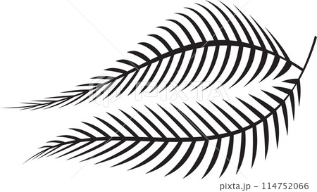 The fern leaf vector image for spa or herb decor concept The fern leaf vector image for spa or herb decor concept 114752066