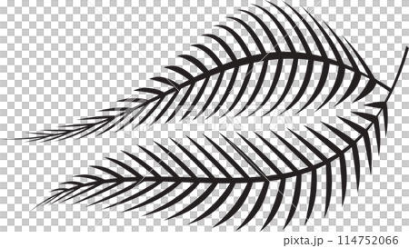 The fern leaf vector image for spa or herb decor concept The fern leaf vector image for spa or herb decor concept 114752066