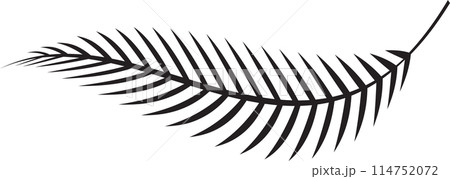 The fern leaf vector image for spa or herb decor concept The fern leaf vector image for spa or herb decor concept 114752072