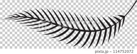 The fern leaf vector image for spa or herb decor concept The fern leaf vector image for spa or herb decor concept 114752072