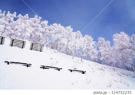 雪崩防止 雪崩防止 114752235