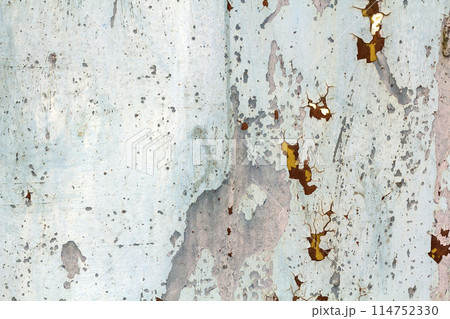 Abstract background texture of vertical grungy rusting metal plate with peeling paint and extensive corrosion with rust streaks. Abstract background texture of vertical grungy rusting metal plate with peeling paint and extensive corrosion with rust streaks. 114752330