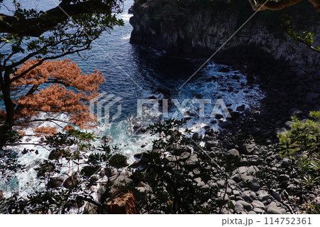 城ヶ崎海岸ピクニカルコース 城ヶ崎海岸ピクニカルコース 114752361
