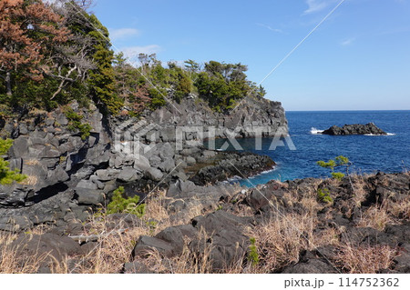 城ヶ崎海岸 城ヶ崎海岸 114752362