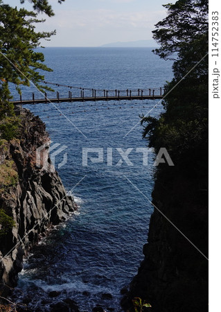 城ヶ崎海岸 114752383