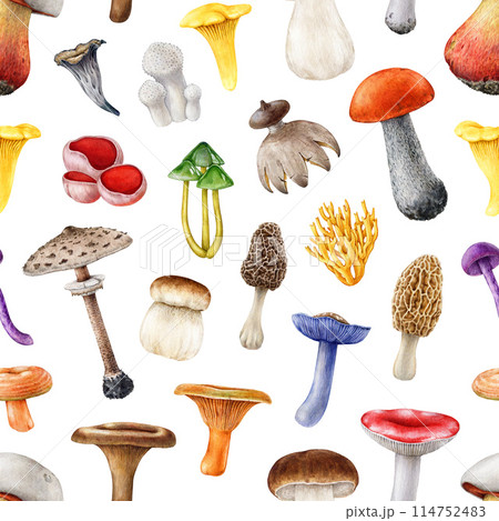 Forest mushroom seamless pattern. Watercolor painted illustration. Hand drawn different mushroom element collection. Painted various forest fungi seamless pattern on white background 114752483