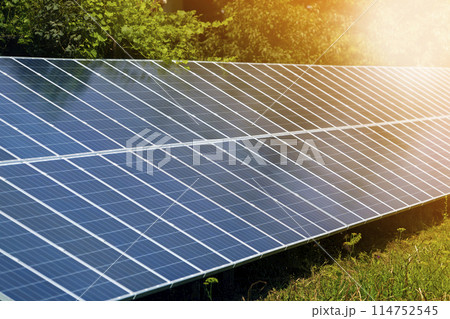 Close-up surface of lit by sun modern saving efficient stand -alone blue shiny solar photo voltaic panels system producing renewable clean energy on green grass and trees foliage background. Close-up surface of lit by sun modern saving efficient stand -alone blue shiny solar photo voltaic panels system producing renewable clean energy on green grass and trees foliage background. 114752545