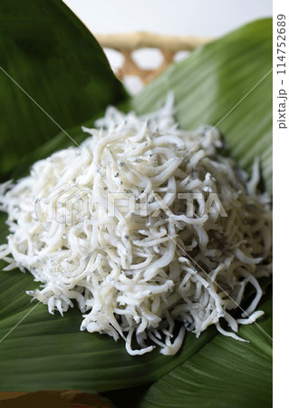 ハランに載せた釜揚げしらす、葉ランに載せた釜揚げシラス、しらす ハランに載せた釜揚げしらす、葉ランに載せた釜揚げシラス、しらす 114752689